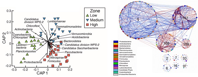 Rotundone_SoilBacteria